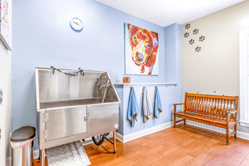 a stainless steel sink and bench in a laundry room at Elan at Mallard Creek Apartment Homes, Charlotte, North Carolina